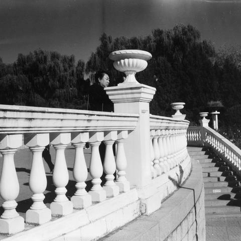 Lucky SHD 400 (6x6)

English Alt Text:
A black-and-white image of a person standing on a curved stone staircase with ornate white balustrades. The balusters are vase-shaped and evenly spaced, topped with decorative urns. The staircase curves upward to the right. The person is partially hidden behind one of the urns, looking down or to the side. Behind the staircase are tall, drooping trees, possibly willows, creating a peaceful, shaded atmosphere. The interplay of light and shadow adds elegance…