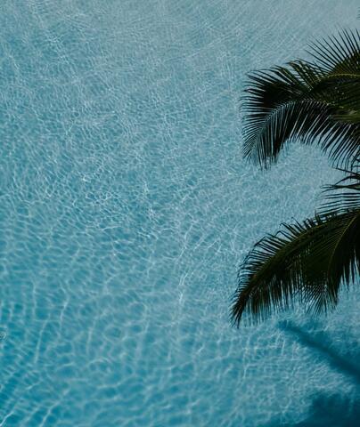 Water and palm leaves