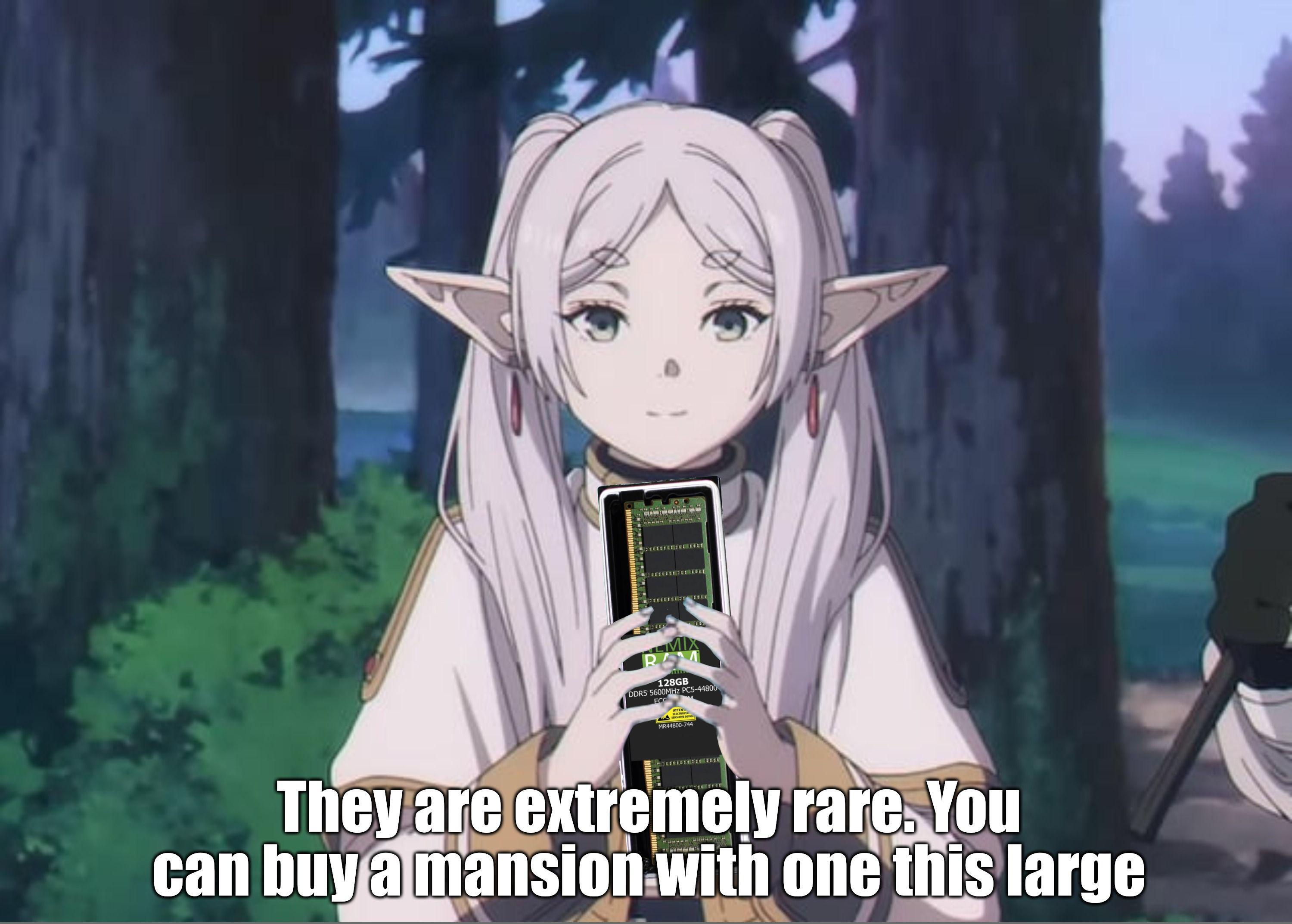 Frieren, la protagonista de la serie con el mismo nombre, sujetando un módulo de memoria ram de 128GB DDR5 y con un texto en ingles que dice “Esto es extremadamente raro. Te puedes comprar una mansión con uno de estas”
