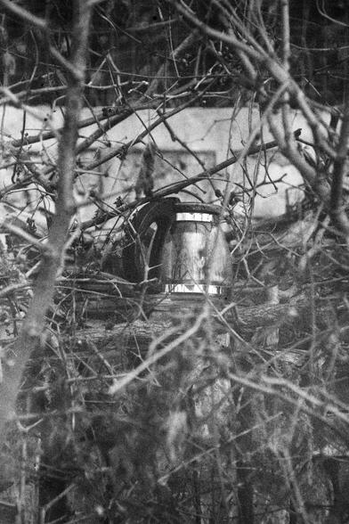 ERA 100 (FF)

English Alt Text: A black-and-white photo shows a metallic electric kettle partially hidden among a dense tangle of leafless branches and twigs. The kettle sits outdoors, possibly on a wooden surface, and reflects light off its smooth surface. In the background, a concrete or stone structure adds to the impression of abandonment or neglect. The contrast between the modern appliance and the natural overgrowth suggests themes of decay, forgotten objects, or nature reclaiming space.
…