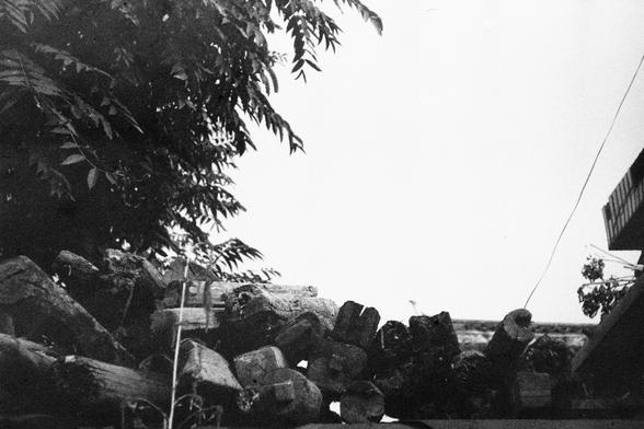ERA 100 (FF)

English Alt Text: A black-and-white photograph shows a stack of cut logs piled outdoors. The logs are arranged horizontally, with rough bark and visible rings. Above the pile, leafy branches from a tree extend into the frame from the upper left, casting soft shadows. On the right, part of a building with a balcony is visible, featuring a hanging plant. A wire runs diagonally across the image from the top right corner. The scene feels rustic and natural, suggesting a rural or semi-…