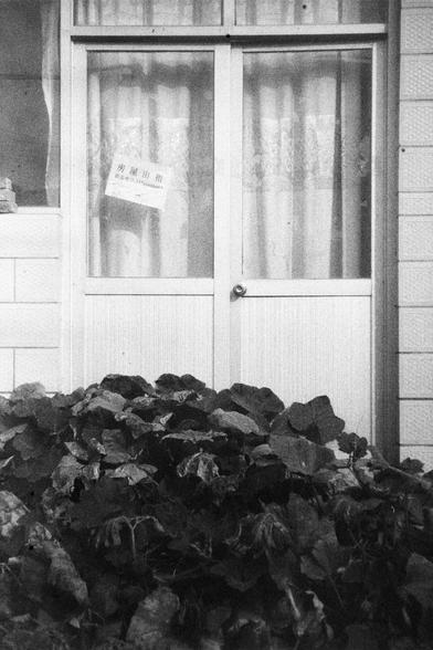 ERA 100 (FF)

English Alt Text:
A monochrome image of a closed glass door with curtains drawn behind it. A sign taped inside the door reads “Room for rent” with a contact number in Chinese. In front of the door, large-leaved plants grow densely, partially obscuring the view. The building exterior features tiled and brick walls. The scene evokes a quiet, nostalgic atmosphere, blending urban texture with natural growth.
中文替代文字：
一张黑白照片，画面是一扇拉上窗帘的玻璃门，门内贴着一张出租告示，写有“防屋出租”和联系电话。门前长满了大片叶子的植物，部分遮挡了视线。建筑…