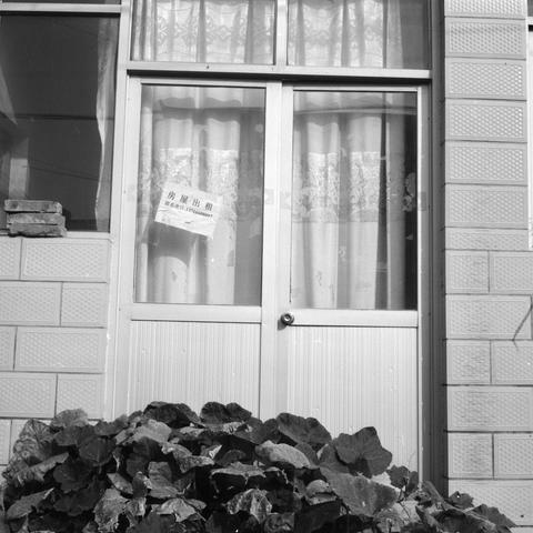 Lucky SHD 400 (6x6)

English Alt Text:
A black and white image showing a glass door with curtains behind it and a rental sign posted inside. The sign, written in Chinese, reads “房屋出租 联系电话: 13714600877,” offering the property for rent with a contact number. The door is part of a tiled building facade, and large leafy plants partially obscure the lower portion. The scene conveys a quiet urban moment, with the sign as the focal point.
中文替代文本：
一张黑白照片，展示一扇玻璃门，门后是窗帘，门内贴有一张出租告示。告示用中文写着：“房屋出租 联系电话: 137…