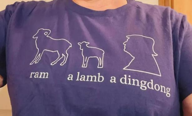 A t-shirt with an outline of a goat, a lamb, and an idiot president.
Ram a lamb a dingdong