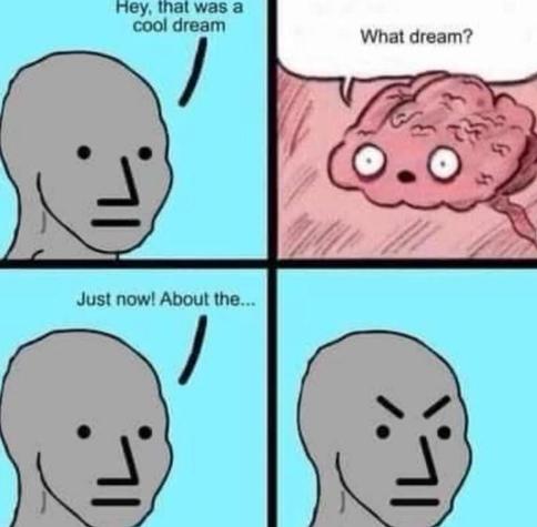 Four-panel meme of the gray guy talking to his brain.
Guy: Hey that was a cool dream.
Brain: What dream?
Guy: Just now! About the …
Guy: *angry scowl on face*