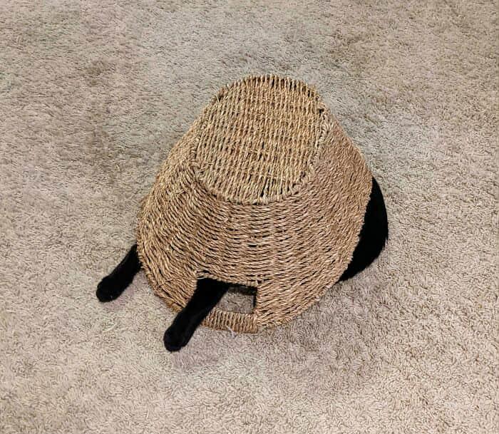 Kitty obscured under a wicker basket.