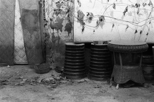 NEOPAN SS 100 (FF)
English Alt Text: A black-and-white photo of an outdoor area with various objects arranged against a wall. On the left, two vertically standing quilted mats or mattresses lean side by side. In the center, two tall stacks of circular metal trays or containers are neatly piled. To the right, a round wicker table with a lower shelf sits alone. Above, a leafy vine with broad leaves and a hanging gourd-like fruit stretches across the wall, casting shadows. The ground is scattered …