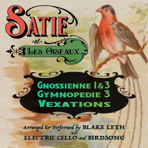 The cover for Blake Leyh's EP "SATIE ET LES OISEAUX."

Over an old watercolor painting of a red bird, ornate Victorian-style fonts read:

SATIE et LES OISEAUX
GNOSSIENNE 1 & 3
GYMNOPEDIE 3
VEXATIONS

Arranged & Performed by BLAKE LEYH
for
ELECTRIC CELLO and BIRDSONG