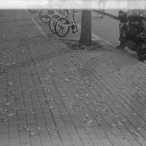 Ilford HP5 Plus 400 (6x6)

English Alt Text
A black‑and‑white photo showing the rear half of a bicycle parked on a brick walkway. Fallen leaves are scattered across the ground, suggesting autumn. A tree trunk and part of another bicycle appear in the background. The image has a nostalgic, film‑like quality with soft light leaks.
Chinese Alt Text
一张黑白照片，画面中是一辆自行车的后半部分停在砖铺小路上。地面散落着落叶，呈现秋天的氛围。背景中可见树干和另一辆自行车的一部分。整体带有怀旧的胶片质感和轻微的光晕效果。