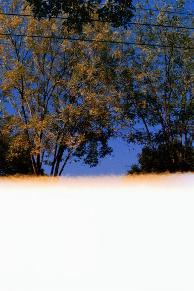 Harman Phoenix 200 II (FF)

English Alt Text
Tall trees with green and yellow leaves rise against a deep blue sky. Several power lines stretch horizontally across the upper part of the image. The lower half is washed out by a bright white and yellow light leak or overexposure, creating a strong contrast with the vivid colors above.
Chinese Alt Text
高大的树木长着绿黄相间的树叶，在深蓝色天空下显得鲜明。画面上方有多条电线横向穿过。下半部分被强烈的白色和黄色曝光或漏光覆盖，与上方清晰的色彩形成强烈对比。