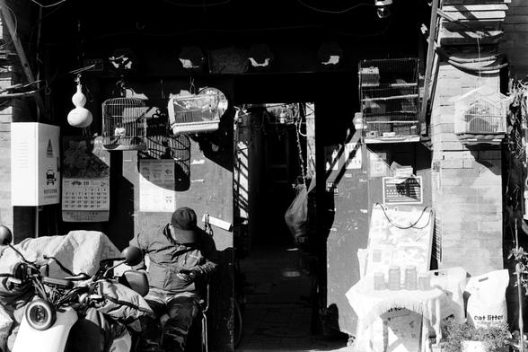 Rollei RPX 400 (FF)

Image 2 — Alt Text (English)
A black‑and‑white photograph of a narrow alley entrance lined with brick walls. Multiple birdcages hang overhead, some containing birds, along with gourds and tangled wires. A man sits on the left, leaning on a motorcycle while looking at his phone. Calendars and posters cover the wall behind him. On the right, a small table holds jars, and bags labeled “cat litter” sit nearby. The alleyway behind is dark and recedes into shadow.
Image 2 — Alt T…