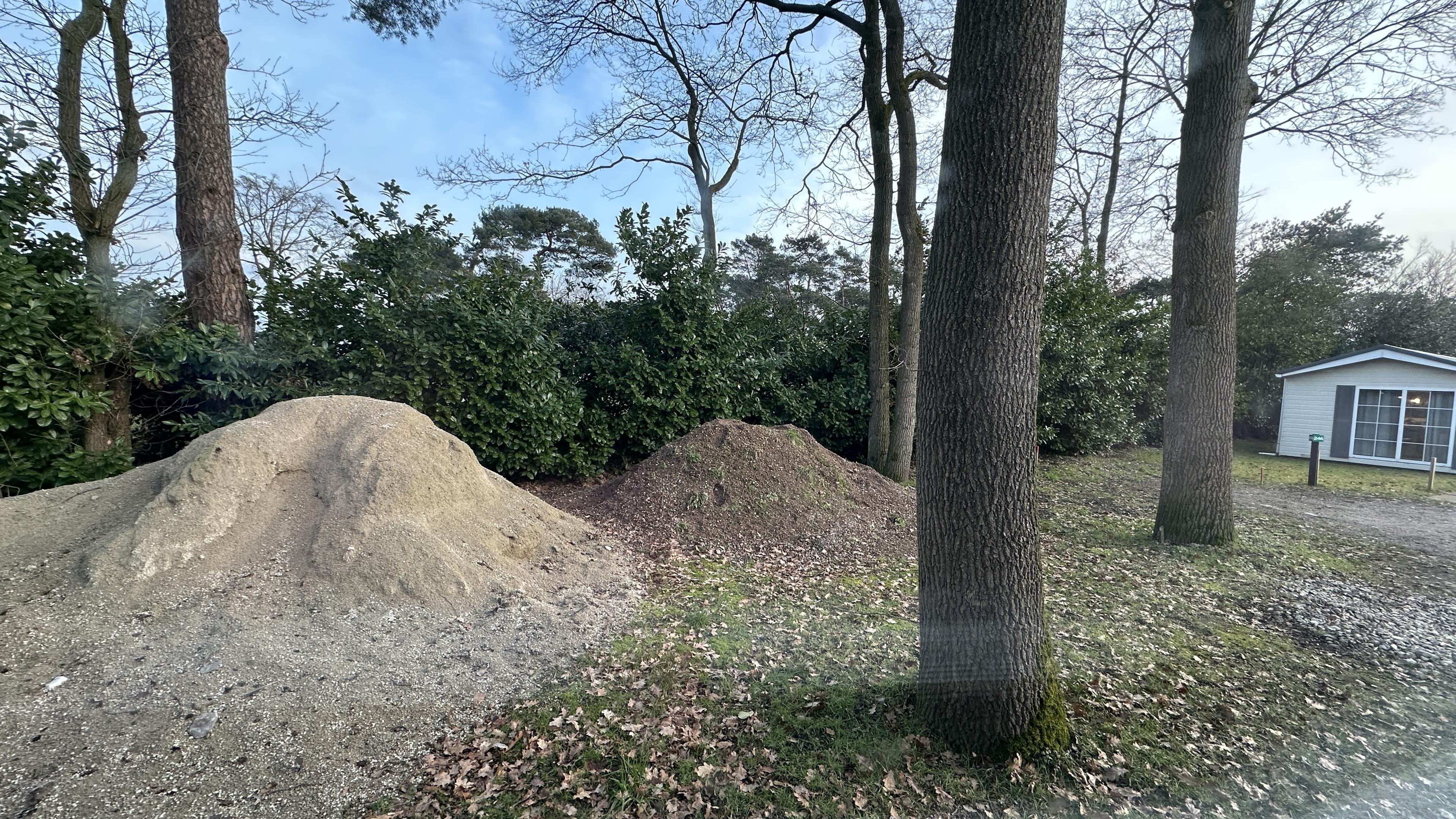A backyard scene with three tall trees, two piles of dirt, green bushes, a white house, and a partly cloudy sky.