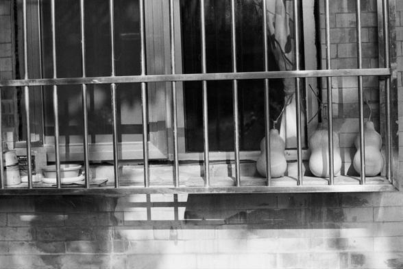 Rollei RPX 400 (FF)

English alt text
A black‑and‑white image of a barred window. Behind the metal bars, several household containers and bowls sit on the windowsill, including a tall canister labeled “INDU.” On the right side, four dried gourds rest or hang near a floral curtain. The scene feels domestic yet enclosed, mixing everyday objects with a sense of confinement.
中文替代文字
一张黑白照片，展示一扇带铁栏杆的窗户。窗台后放着多个日常容器和碗，其中一个圆筒形罐子上写着“INDU”。右侧有四个干葫芦靠着带花纹的窗帘。画面结合了家庭气息与被围隔的感觉。