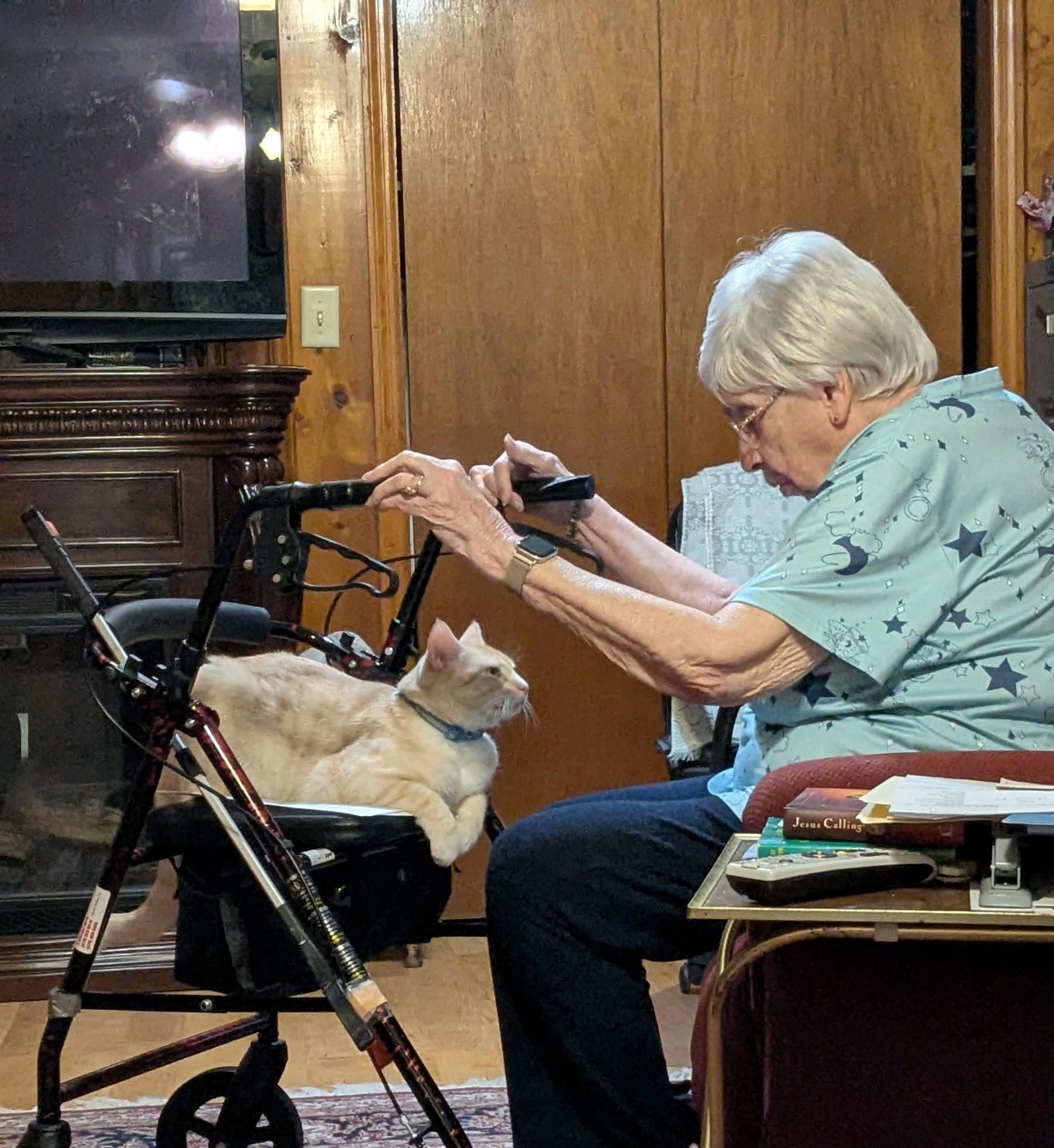 A pale yellow cat is lying on the seat of a rolling walker. He is looking at my mom who is getting into her recliner and is holding onto the handles of the walker.