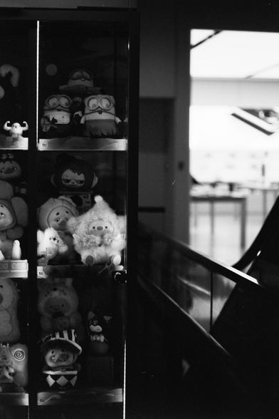 ERA 100 (FF)

English alt text:
A black‑and‑white photo of a store display case filled with plush toys and small figurines. Characters like Minions and other cartoon figures sit on several shelves, brightly lit from the left. The right side fades into a darker mall interior with an escalator and distant lights. The contrast between the illuminated toys and the shadowed surroundings creates a dramatic, high‑contrast scene.

中文替代文字：
一张黑白照片，展示柜里摆满了毛绒玩具和小摆件，包括小黄人等卡通角色。左侧灯光明亮，照亮整排玩具；右侧较暗，可看到商场内部和一部自…