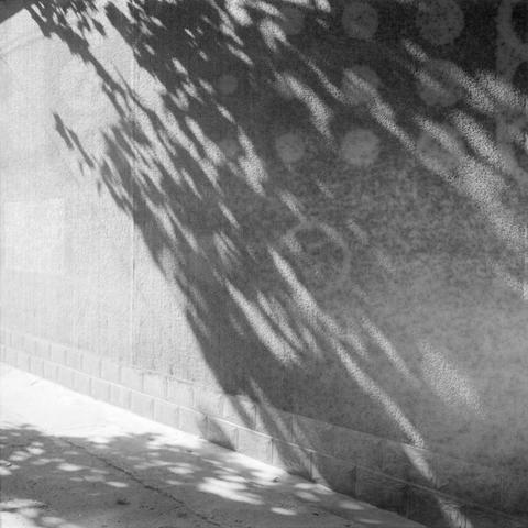 Ilford HP5 Plus 400 (6x6)

Image 4 – Alt Text (English)

A black‑and‑white photo of a concrete wall with a tiled base along a sidewalk. Shadows of tree branches and leaves stretch across the wall and ground, creating irregular patterns. The shadows are long, suggesting low sunlight. The scene contains only the wall, sidewalk, and shadows, with no people present.

Image 4 – Alt Text (Chinese)

一张黑白照片，画面为一面混凝土墙及其下方的瓷砖基座，旁边是人行道。树枝和树叶的影子投射在墙面和地面上，形成不规则的图案。影子较长，显示光源位置较低。画面中没有人物。