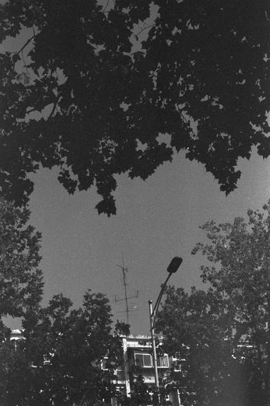 Ilford FP4 Plus 125 (FF)

English alt text

A black‑and‑white photo showing dense tree leaves forming a dark canopy across the upper part of the image. Below the leaves, a multi‑story building with many windows is visible. A tall antenna stands on the roof. A streetlight appears in the foreground, leaning slightly to the right.

中文替代文字

一张黑白照片，上方被茂密的树叶遮挡，形成深色的树冠。树叶下方是一栋多层建筑，带有许多窗户，屋顶上有一根高天线。前景中有一盏略微倾斜的路灯。