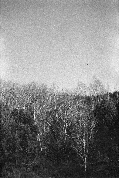 Ilford FP4 Plus 125 (FF)

English alt text
A black‑and‑white photograph of a forested area. The foreground includes both coniferous trees and leafless deciduous trees, suggesting a late‑autumn or winter season. The background shows more trees and an open sky occupying the upper half of the image. The photo has a grainy texture, giving it a slightly rough, film‑like appearance.
中文替代文字
一张黑白照片，呈现一片森林景观。前景有针叶树和无叶的阔叶树，显示可能是深秋或冬季。背景是更多的树木和占据上半部分的开阔天空。照片带有颗粒感，呈现出胶片般的质感。