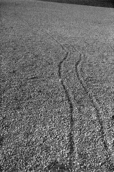 Ilford FP4 Plus 125 (FF)

Image 4 – English Alt Text
A black‑and‑white close view of a gravel surface. Two parallel curved tracks run through the gravel, suggesting something small moved across it. The gravel pieces vary in size and create a rough texture. The tracks are slightly darker than the surrounding stones and form gentle arcs across the frame.
Image 4 – 中文替代文字
一张黑白的近景照片，显示一片碎石地面。两条平行的弯曲痕迹穿过碎石，似乎是某个小物体经过后留下的。碎石大小不一，形成粗糙的纹理。痕迹比周围的石子略深，在画面中呈弧形延伸。