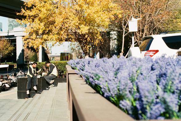 Lucky  C200 (FF)
English:

Two individuals wearing reflective vests are seated on a raised platform in an urban outdoor setting. They appear to be engaged in conversation or eating. The foreground features a row of purple flowers, and the background includes trees with yellow autumn leaves, a white vehicle, and modern buildings. The scene is bright and sunny.
Mandarin Chinese:

两名穿着反光背心的人坐在城市户外的高台上，看起来在交谈和吃东西。前景是一排紫色的花，背景有黄色秋叶的树木、一辆白色车辆和现代建筑。场景阳光明媚。
