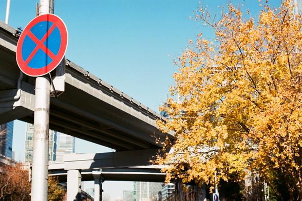 Lucky  C200 (FF)
English:

A close-up of a "No Parking" traffic sign attached to a metal pole. The sign features a blue circle with a red border and a red diagonal cross. In the background, there is an elevated roadway and trees with yellow autumn leaves against a clear blue sky.
Mandarin Chinese:

金属杆上“禁止停车”交通标志的特写。标志为蓝底红边，并有一个红色的对角叉。背景是高架道路和黄色秋叶的树木，以及明朗的蓝天。