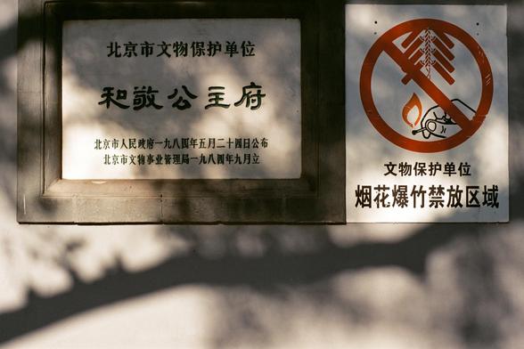 Lucky  C200 (FF)

- **English:** Two signs on a frame. The left sign contains Chinese text indicating a cultural relic protection unit. The right sign features a red prohibition symbol with a graphic of a flame and cigarette, indicating no smoking or open flames.
- **中文:** 框上的两个标志牌。左边的标志牌写着“文物保护单位”和相关信息；右边的标志牌是禁止标志，图案为火焰和香烟，表示禁止吸烟和明火。