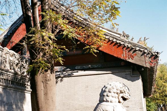 Lucky  C200 (FF)

- **English:** A traditional Chinese building with a grey brick wall and a red-tiled roof with ornate eaves. A stone lion statue is positioned in front of the wall, and a tree with green leaves partially obscures the view.
- **中文:** 一座传统中式建筑，灰色砖墙和红色瓦顶，屋檐装饰精美。墙前有一尊石狮子雕像，绿树叶部分遮挡了视线。