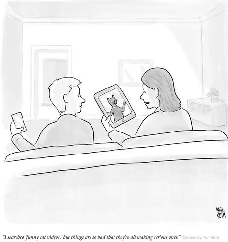 Single panel comic.
Male and female human couple sitting on a couch, seen from behind. She says, “I searched ‘funny cat videos,’ but things are so bad they’re only making serious ones.”