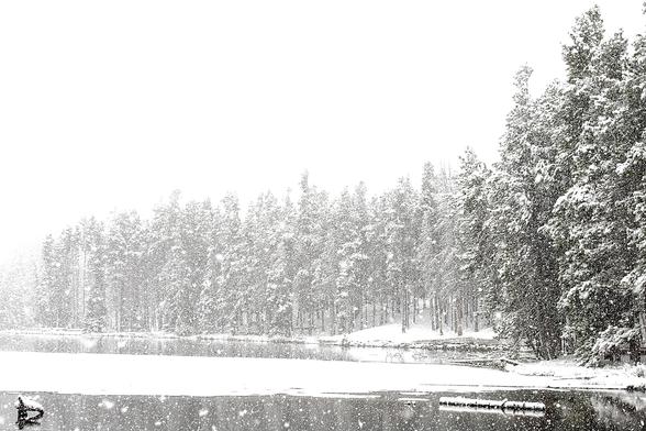 A photo taken at Sprague Lake in Rocky Mountain National Park. It’s been snowing, and is still snowing. The sun has risen an hour ago and the clouds are not that deep so the sky is washed out. Across the bottom 2/3 of the image, dense pine forest appears hazy because of the large snowflakes falling gently. Across the bottom of the image the lake is mostly snow-covered except for what looks like a band of open water but is really ice. There is a log at the right side, and a chunk of tree trunk i…