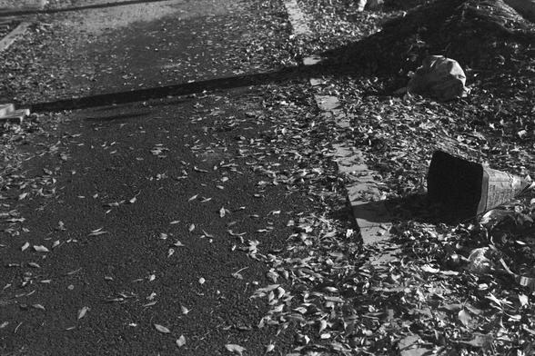 Ilford FP4 Plus 125 (FF)

English:
A black-and-white photograph of a street covered with fallen leaves and debris. A traffic cone lies on the right side of the walk. The scene suggests an urban area, possibly after autumn or a storm, with leaves scattered across the pavement.

Mandarin Chinese:
一张黑白照片，展示了一条铺满落叶和碎片的街道。一个交通锥倒在街道的右边。场景看起来像是城市地区，可能是在秋天或暴风雨后，落叶散落在人行道上。