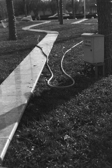 Ilford FP4 Plus 125 (FF)

English:
A black-and-white photograph of a garden hose by the side of an electrical box. The hose is laid out on the ground, extending along a paved pathway surrounded by grass and trees.

中文（普通话）：
一张黑白照片，展示了一根在电箱旁的花园水管。水管铺设在地面上，沿着铺砌的人行道延伸，周围是草坪和树木。