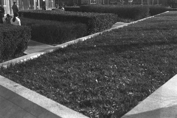 Ilford FP4 Plus 125 (FF)

Image 3:
English:
A black-and-white photograph of a landscaped garden area with neatly trimmed hedges and pathways. People are visible in the background, sitting and walking.

中文（普通话）：
一张黑白照片，展示了一个整齐修剪的花园区域，有整齐的树篱和小路。背景中有人坐着或行走