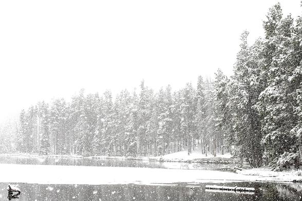 This is the alt text generated by altbot for this image. It’s pretty accurate as a description of the image itself, which is all they’ve got to work with, obviously.

A black-and-white winter scene depicts a landscape with a partially frozen lake, snow-covered evergreen trees, and falling snow. The foreground shows a dark, icy lake surface with snow along its edges, bordered by tall trees heavily coated in snow on the right side. In the background, a dense forest of snow-draped evergreen trees …