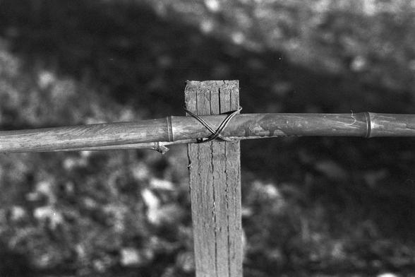 Ilford FP4 Plus 125 (FF)

Image 3:
This black-and-white photograph shows a close-up of a wooden fence post. The post is tied together with wire, and the wood appears weathered and aged. The background is blurred, focusing attention on the texture and details of the wooden post.

中文:
这张黑白照片特写拍摄的是一个木制栅栏柱。柱子由铁丝捆绑在一起，木材看起来经受风吹雨打，显得老旧。背景模糊，将注意力集中在木柱的质感和细节上。