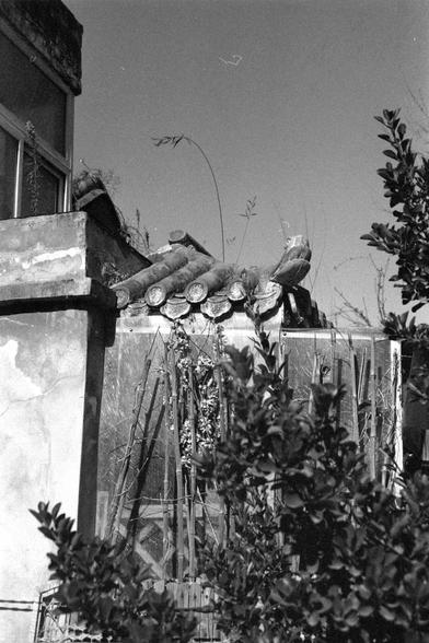 Ilford FP4 Plus 125 (FF)
English:

A black-and-white photograph showing the top of a traditional Chinese tiled roof. The roof tiles are arranged in a curved pattern, and there are plants and bushes in the foreground. The image captures the architectural details of the roof, with some overgrown vegetation around it.
Mandarin Chinese:

这是一张黑白照片，展示了中国传统瓦屋顶的顶部。屋顶的瓦片呈弯曲排列，前景中有植物和灌木。照片捕捉到屋顶的建筑细节，周围有一些过度生长的植被。