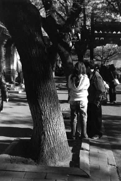 Ilford FP4 Plus 125 (FF)

##English
A black-and-white photograph showing two people standing close to each other near a large tree trunk in an outdoor setting. The tree is prominent in the foreground, with its thick trunk and branches casting shadows on the ground. The background features more trees and a traditional architectural structure, possibly a temple or historical building, with people walking around. The scene appears to be in a park or a historical site.

##中文
一张黑白照片，展示了两个人站在户外的一棵大树旁…
