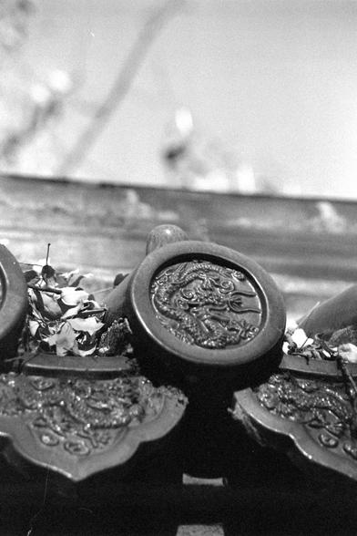 Ilford FP4 Plus 125 (FF)

##English
A black-and-white close-up of a decorative roof tile from a traditional East Asian building. The tile features a circular relief of a dragon or mythical creature, surrounded by intricate patterns. The background is blurred, focusing attention on the detailed carving.

##中文
一张黑白特写照片，拍摄的是传统东亚建筑的装饰性屋顶瓦片。瓦片上有一个圆形浮雕，描绘的是龙或神话生物，周围环绕着精美的图案。背景模糊，突出了雕刻的细节。