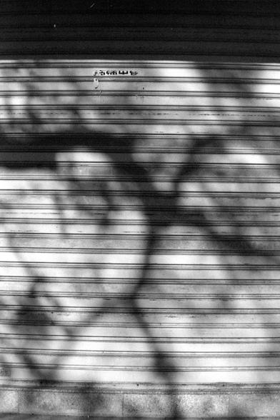 Ilford FP4 Plus 125 (FF)
English
A black and white photograph of a closed metal shutter door. The shutter door has horizontal lines and is partially covered by shadows of tree branches. At the top of the shutter, there is some text that is not clearly legible.
中文
一张黑白照片，拍摄的是一个关闭的金属卷帘门。卷帘门有水平线条，部分被树枝的影子遮住。卷帘门顶部有一些文字，但不太容易辨认。