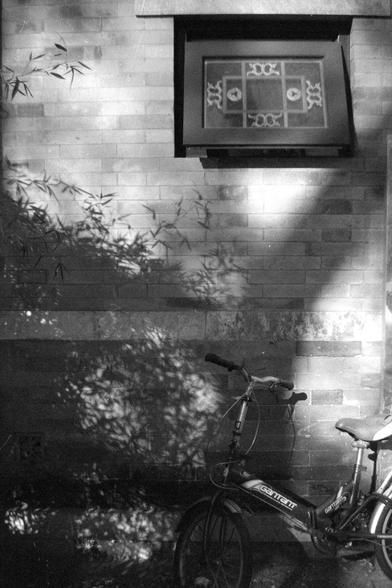 Ilford FP4 Plus 125 (FF)
English
A black and white photograph of a brick wall with a window that has decorative latticework. The window is above a bicycle that is parked against the wall. Shadows of tree branches are cast on the wall and the bicycle.
中文
一张黑白照片，拍摄的是一面砖墙，墙上有一扇带装饰性花格的窗户。窗户下方靠着一辆自行车。树枝的影子投射在墙和自行车上。