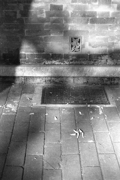 Ilford FP4 Plus 125 (FF)

English

A black-and-white photograph showing a section of a brick wall and a tiled floor. The wall is made of rectangular bricks, with a small decorative stone vent carved near the top center. On the floor, there is a rectangular metal grate embedded in the tiles. Scattered around the tiles are a few dried leaves and petals.

中文

一张黑白照片，展示了一段砖墙和铺砖的地面。墙壁由长方形砖块砌成，靠近上方中间有一个小型装饰性石头通风口。地面上嵌有一个矩形金属格栅。地砖上散落着几片干枯的叶子和花瓣。