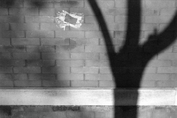 Ilford FP4 Plus 125 (FF)

English

A black-and-white photograph showing a brick wall with a shadow of a tree branch cast upon it. The shadow is prominent and stretches across the bricks. There is a small piece of torn paper or tape stuck to the wall near the top left.

中文

一张黑白照片，展示了一面砖墙，墙上映着一根树枝的影子。影子清晰，横跨整个砖墙。靠近左上角有一小片撕破的纸或胶带粘在墙上。