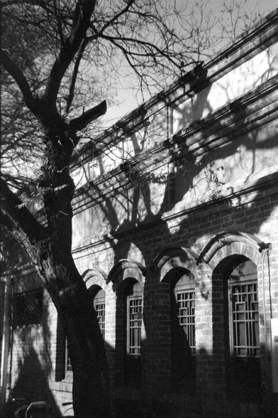 Ilford FP4 Plus 125 (FF)
##English

This black-and-white photograph features a building facade with arched windows and a row of decorative brackets under the roofline. The image is taken from a low angle, with bare tree branches crossing in front of the building, casting shadows on the wall. The architectural style and shadows create a dramatic effect, emphasizing the texture and details of the building.
##中文

这张黑白照片展示了带有拱形窗户和屋檐下装饰托架的建筑立面。照片从低角度拍摄，光秃的树枝横在建筑前方，在墙上投下阴影。建筑风格和阴影营造出戏剧性效果，突出了建筑的质感和细节。