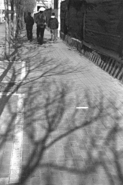 Ilford FP4 Plus 125 (FF)
English:

A black-and-white photo of three people standing on a sidewalk or platform. They appear to walk forward, and they appear to be engaged in conversation. The ground is paved with bricks, and there is a metal railing on the right side. Shadows of trees and branches are cast across the pavement.
中文：

一张黑白照片，照片中有三个人站在人行道或站台上。他们似乎在向前走，看起来正在交谈。地面由砖块铺成，右侧有一个金属栏杆。树枝的影子投射在地面上。