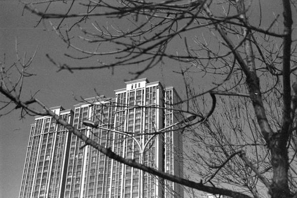Ilford FP4 Plus 125 (FF)
##English

A black-and-white photograph showing a tall, modern apartment or office building with numerous balconies. The building is partially obscured by tree branches and leaves in the foreground, creating a contrast between the natural and urban elements.

##中文

一张黑白照片，展示了一栋高大的现代公寓或办公楼，楼上有许多阳台。建筑物部分被前景中的树枝和树叶遮挡，形成自然与城市元素的对比。