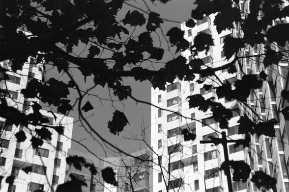 Ilford FP4 Plus 125 (FF)

English

A black-and-white photograph showing a high-rise residential building partially obscured by the silhouettes of tree branches and leaves in the foreground. The building has multiple windows and balconies, and the branches create a pattern of shadows across the facade.

中文

一张黑白照片，展示了一栋高层住宅楼，前景是树枝和树叶的剪影。树枝和树叶部分遮挡了建筑物，楼房有多个窗户和阳台，树枝在建筑立面上形成阴影图案。