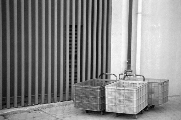 Ilford FP4 Plus 125 (FF)

English

A black-and-white photograph featuring three empty plastic crates stacked on wheeled dollies. The crates are placed against a corrugated metal wall with vertical lines. A pipe runs vertically along the wall, and there is a small window or vent near the top left of the wall.

中文

一张黑白照片，展示了三个空的塑料箱子堆放在带轮子的手推车上。箱子靠着一面带有垂直线条的波纹金属墙。墙上有一根垂直的管道，左上角附近有一个小窗户或通风口。