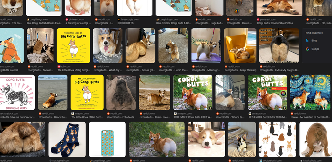 A image search of corgi butts. There are so many.