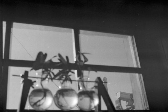 Ilford FP4 Plus 125 (FF)

English

A black-and-white photograph taken through a window. The window is divided into four panes by a cross-shaped frame. Hanging in the window are three spherical ornaments, likely made of glass, and a decorative star or plant-like figure with elongated, spiky leaves. The ornaments and figure are silhouetted against the light coming through the window, creating a contrast between the dark shapes and the bright background. Surveillance cameras can been seen in the b…