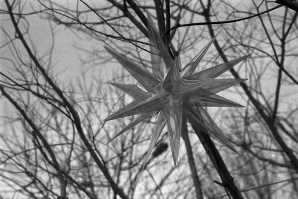 Ilford FP4 Plus 125 (FF)

English

A black-and-white close-up of a large, geometric star-shaped ornament hanging among bare tree branches. The star has multiple sharp, elongated points and appears to be made of a reflective or translucent material, catching the light and standing out against the intricate network of branches in the background.

中文

一张黑白特写照片，拍摄的是一个悬挂在光秃树枝间的大型几何星形装饰物。星形装饰有多个尖锐细长的角，看起来由反光或半透明材料制成，在复杂的枝条网络背景下格外醒目。