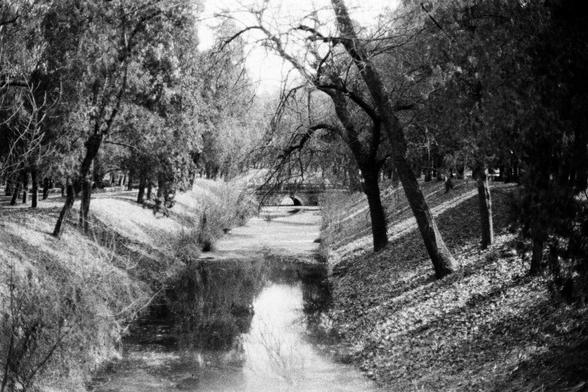 Lucky LUCKY SHD 400 (FF)

##English

A black-and-white photograph of a park or natural area. The scene features a dirt path flanked by bare trees and bushes. In the distance, a small bridge crosses over a narrow stream or ditch. The landscape is open, with patches of grass and shrubs, and the trees are leafless, suggesting it may be autumn or winter.

##中文

一张黑白照片，拍摄的是一个公园或自然区域。画面中有一条土路，两旁是光秃秃的树木和灌木丛。远处有一座小桥横跨在一条狭窄的溪流或水沟上。景色开阔，有草地和灌木丛，树木没有叶子，可能是秋季或冬季。